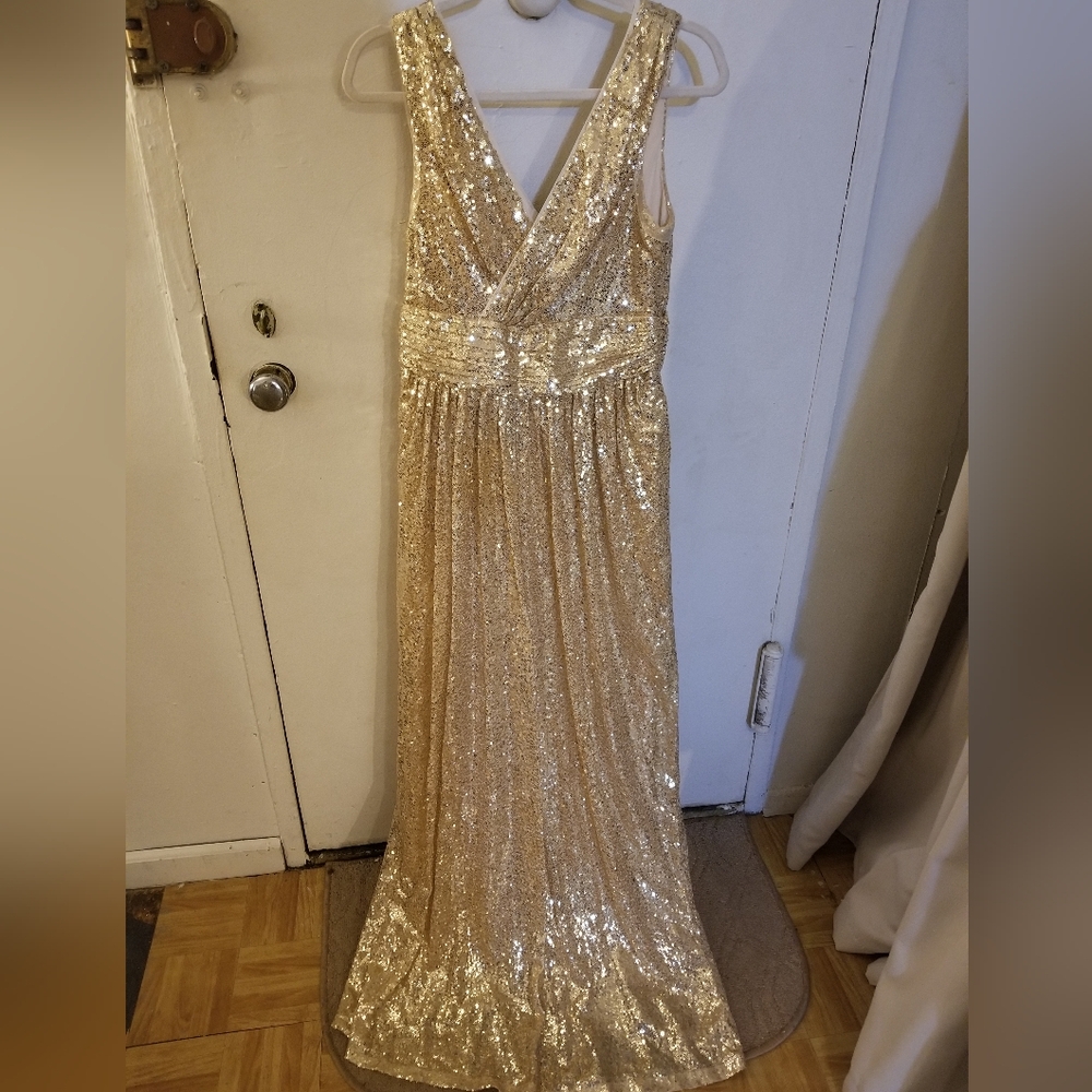 Kate Kasin Gold Sequin Gown Size 12